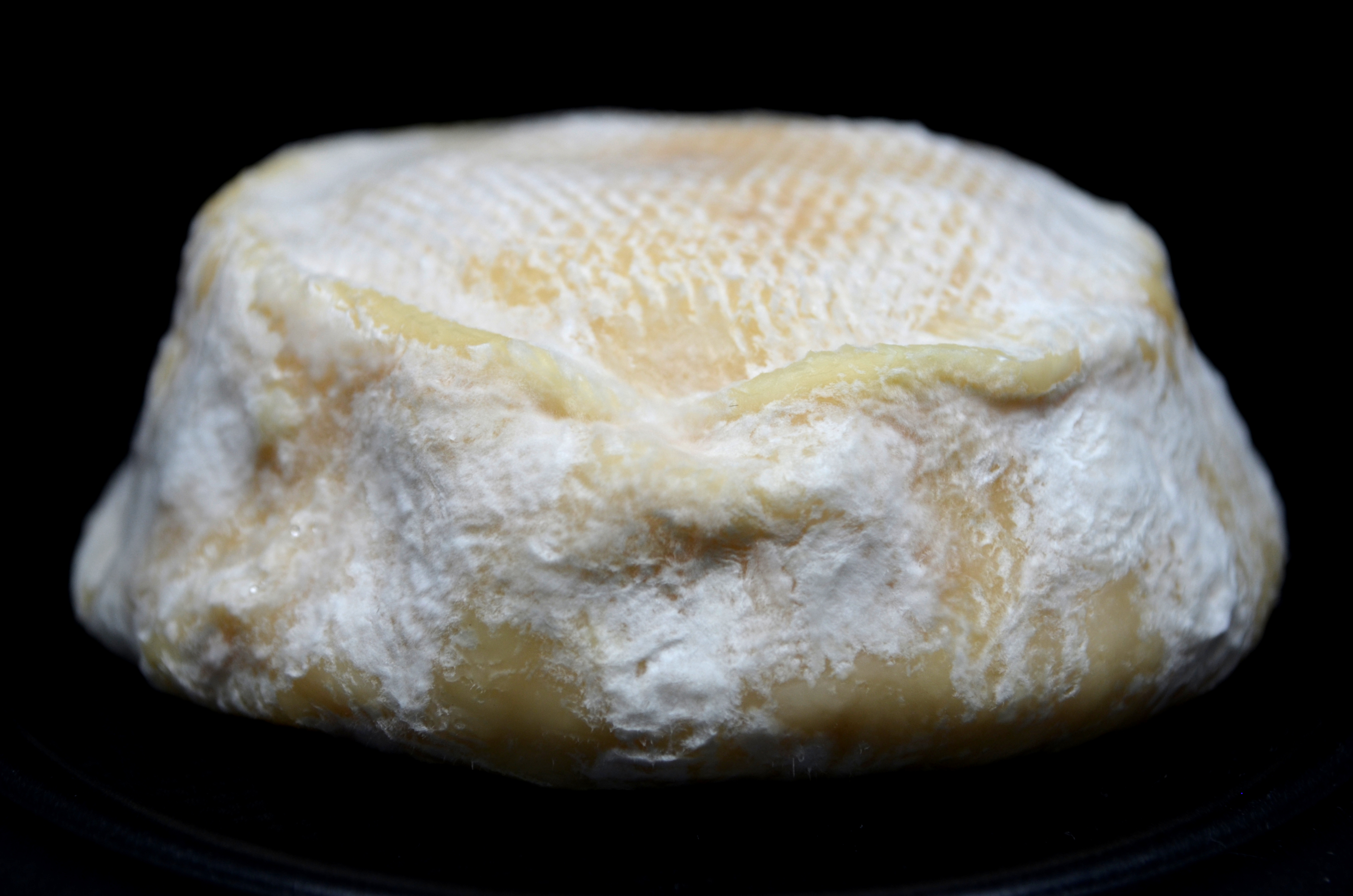 Option transversale – Microbiologie et transformation alimentaire