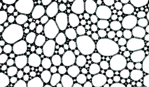 Projet de recherche – Analyse dimensionnelle du foisonnement continu